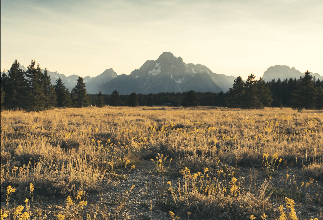 Wyoming