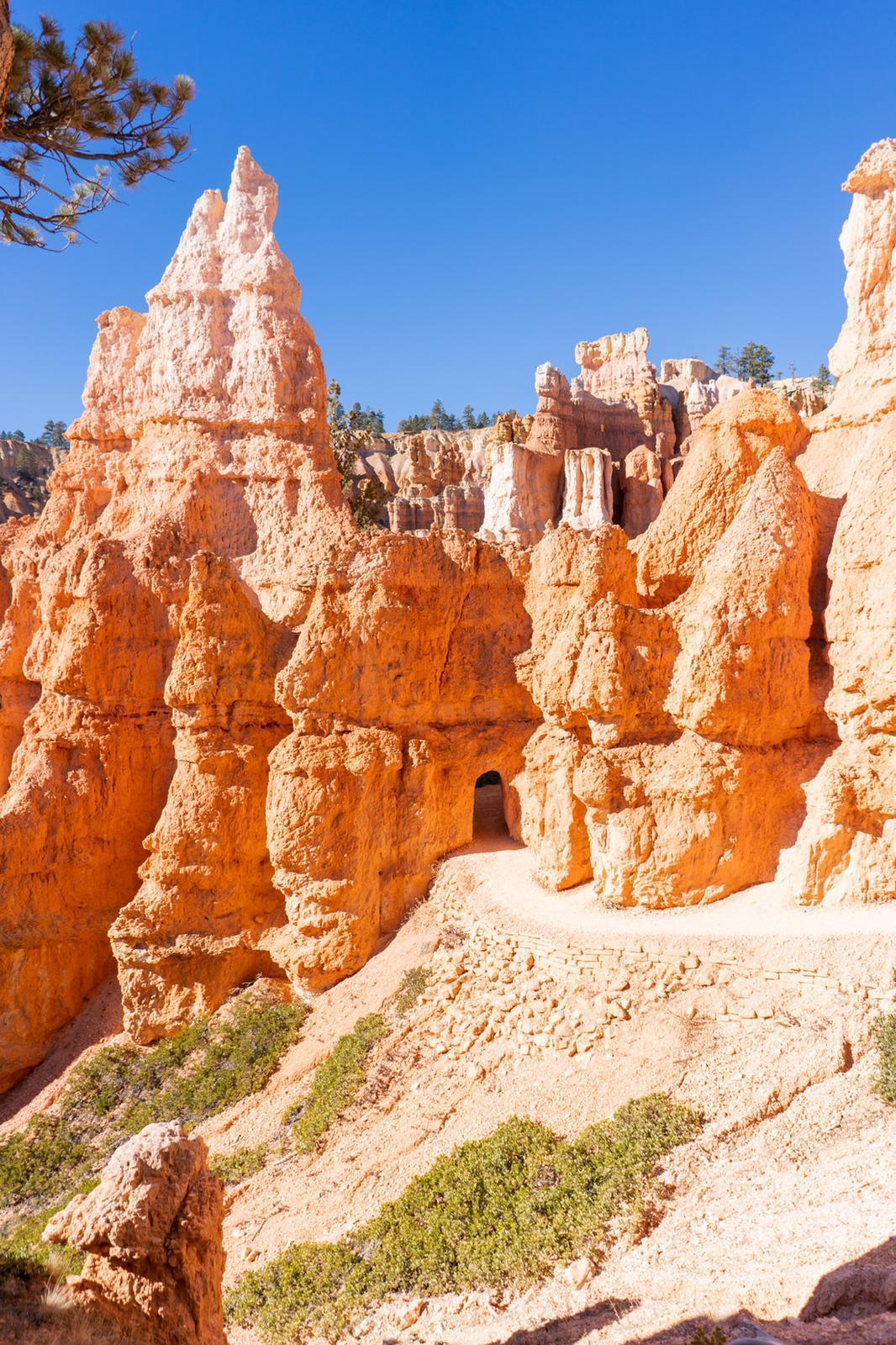 WhatsApp Image 2022-07-29 at 10.19.27 AM